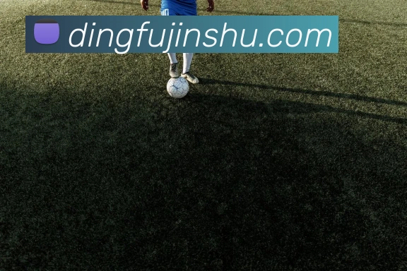 奖项证书
